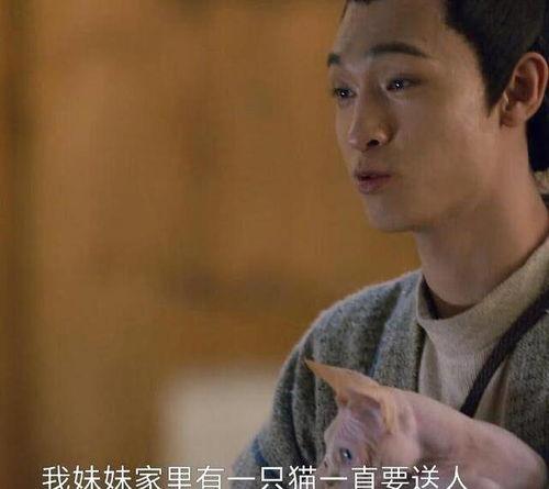 瓦舍江湖吃瓜群众,吃瓜群众的欢乐盛宴