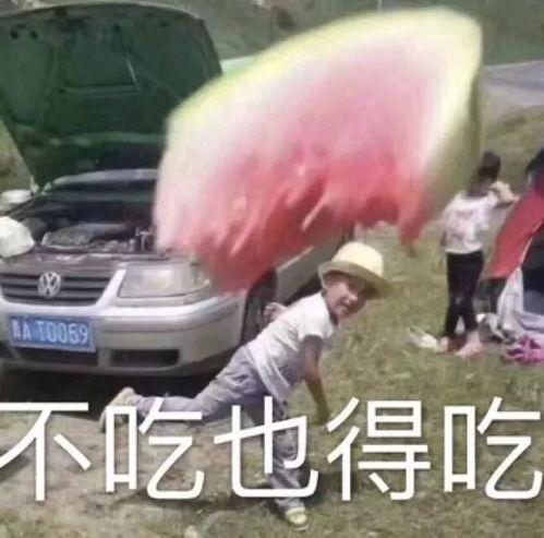 吃瓜小熊尴尬,一场意外的“瓜”事