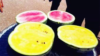 曹县吃瓜爆料,揭秘网络热点背后的真相