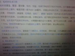 作文动物吃瓜比赛,吃瓜比赛大比拼